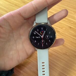 Garmin Silver Watch with White Band